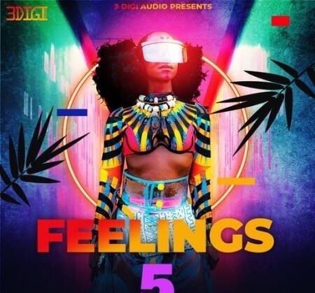 Innovative Samples Feelings RnB Vol 5 WAV